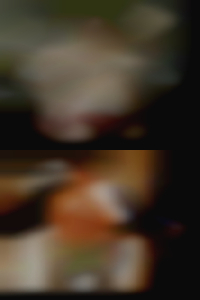 black BBW horny girls who fuck now