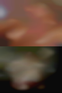 hot wives and swingers in Iowa