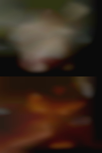 milf & cougars nude single woman in Levittown PA