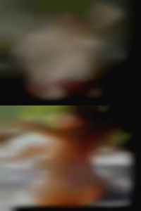 senior cheating housewives