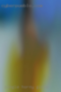 single horny girls near Kersey PA