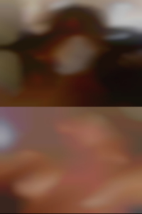 Springfield, MO swingers personal